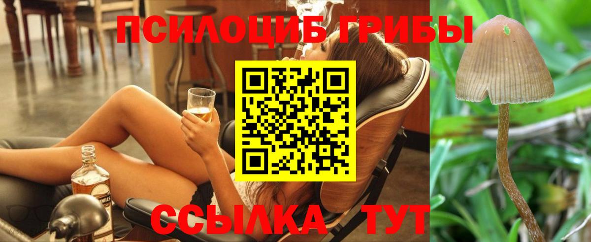 Галлюциногенные грибы Cubensis  Галлюциногенные грибы MAGIC MUSHROOMS  Вход с VPN  Миасс 